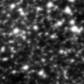 2022xor_image