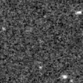 2022xrw_image