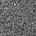 2022xxz_image