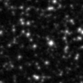 2022xyo_image