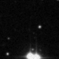 2022ykg_image