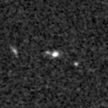 2022ylc_image