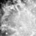 2022zct_image