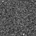 2022zfw_image