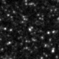 2022znl_image