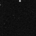 2022zok_image