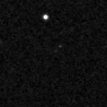 2022zox_image