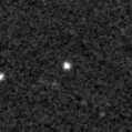 2022zsl_image