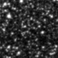 2022zve_image