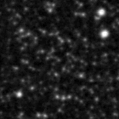 2022zvn_image
