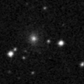 2022zwg_image