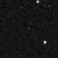 2023aaam_image