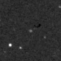2023aaap_image