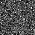 2023aaat_image
