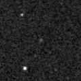 2023aacl_image