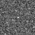 2023aacn_image