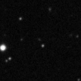 2023aaco_image