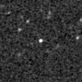 2023aaep_image