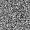 2023aafy_image