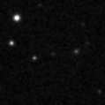 2023aaha_image