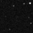 2023aahi_image