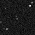 2023aaid_image