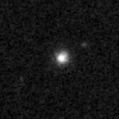 2023aaif_image