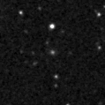 2023aaim_image