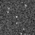 2023aaip_image