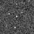2023aajp_image