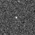 2023aalg_image