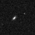 2023aamj_image