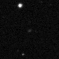 2023aaml_image