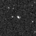 2023aamo_image