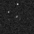 2023aamr_image