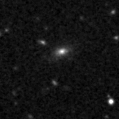 2023aams_image