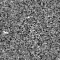 2023aani_image