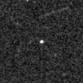 2023aapa_image