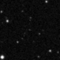 2023aaph_image