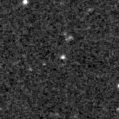 2023aapn_image