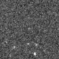 2023aapo_image