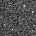 2023aapw_image