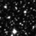 2023aarf_image