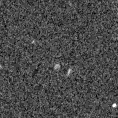 2023aast_image
