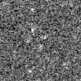 2023aasu_image