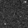 2023aasv_image