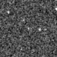 2023aaus_image
