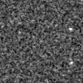 2023aawb_image
