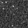 2023aawg_image
