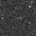 2023aaxb_image